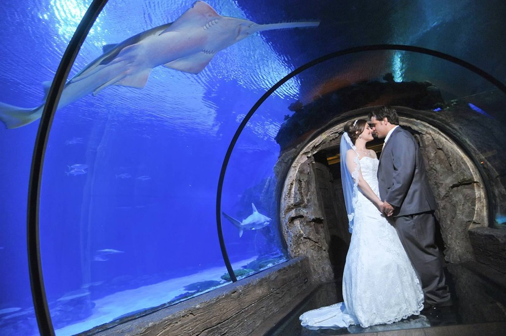 5 Weirdest Wedding Venues in Vegas