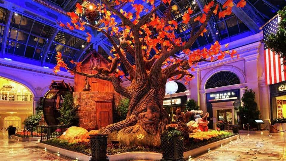 The Bellagio Conservatory & Botanical Gardens