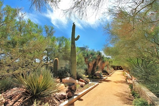 5 Best Nature Trails in Las Vegas