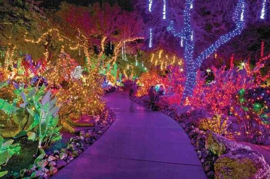 Enjoy the Holiday at Ethel M's Cactus Garden in Las Vegas