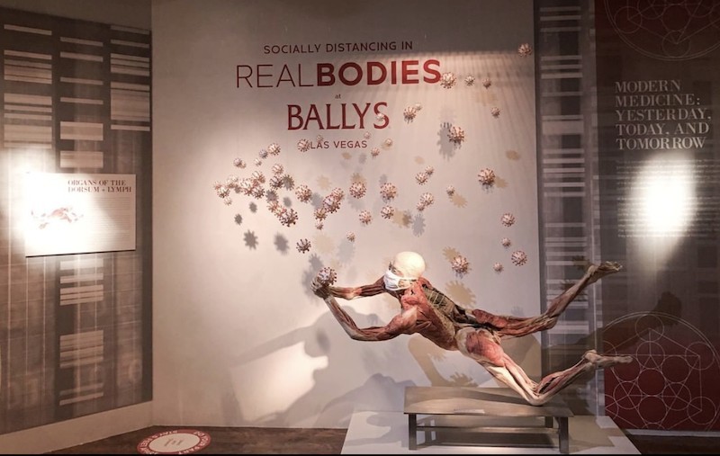 Real Bodies at Bally s