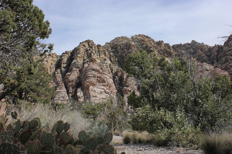 Hike La Madre Spring in Red Rock Canyon