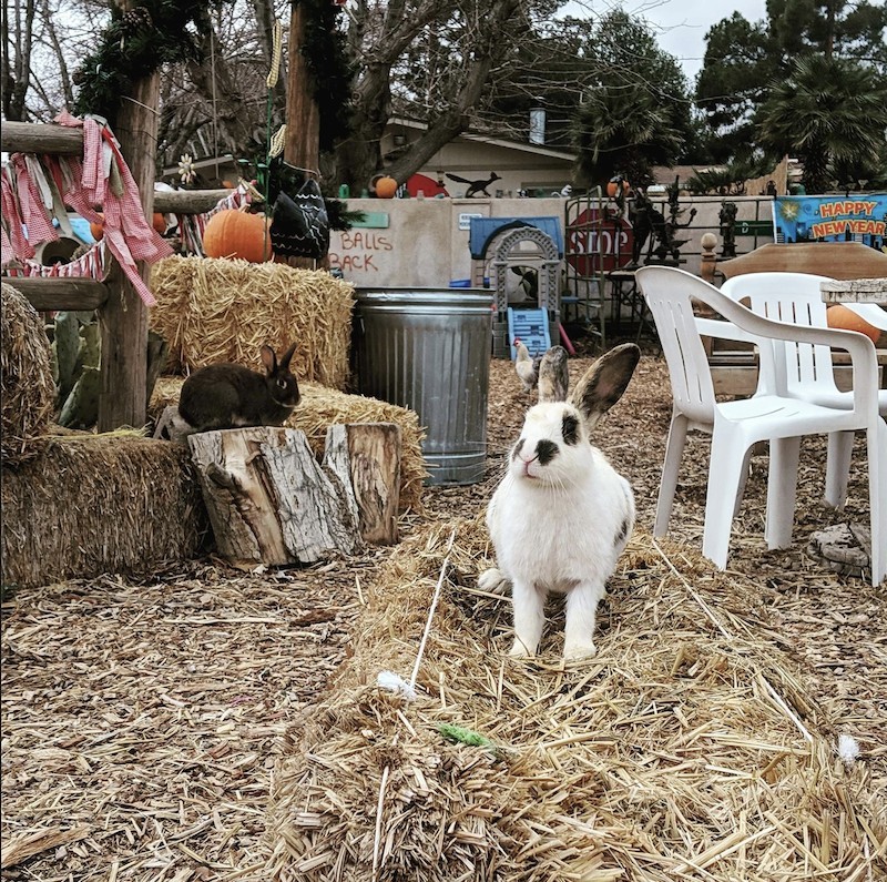 Rural Life Just Down the Street from the Strip: McKee Ranch