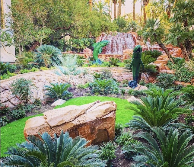 See Exotic Wildlife at Siegfried & Roy's Secret Garden