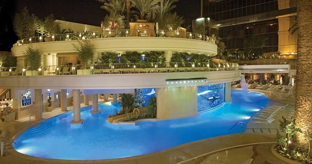 Ride a Water Slide Through a Shark Tank  in Downtown Vegas