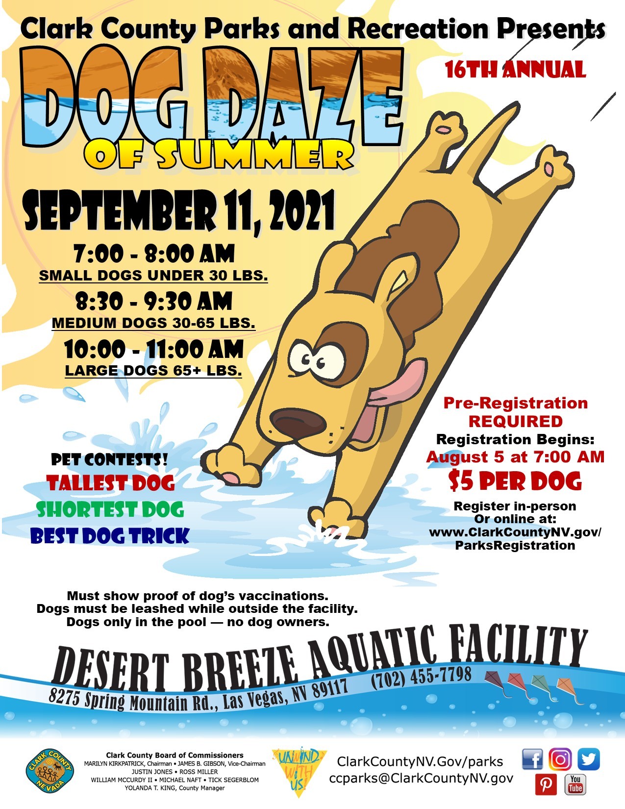 Let Your Dog Go for a Swim at a Las Vegas Pool