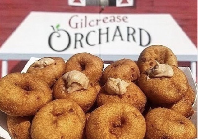 Here's Where to Handpick Pumpkins in Las Vegas