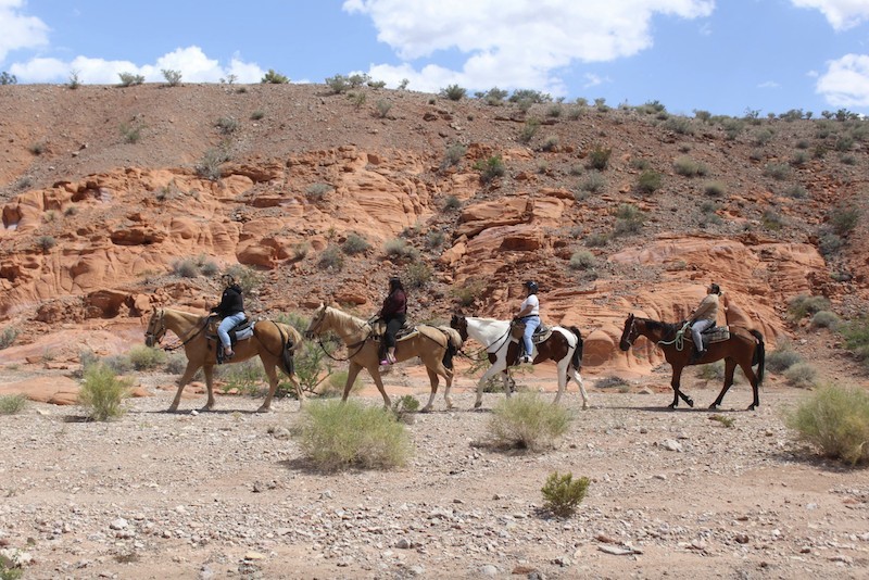 Get Out Into The Wild West On Horseback