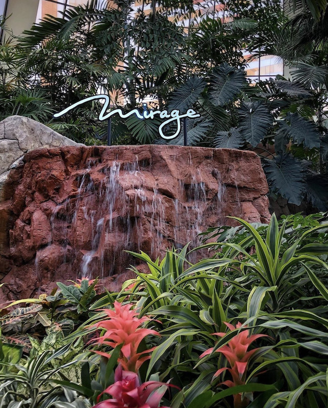 Explore A Jungle In The Middle Of The Strip