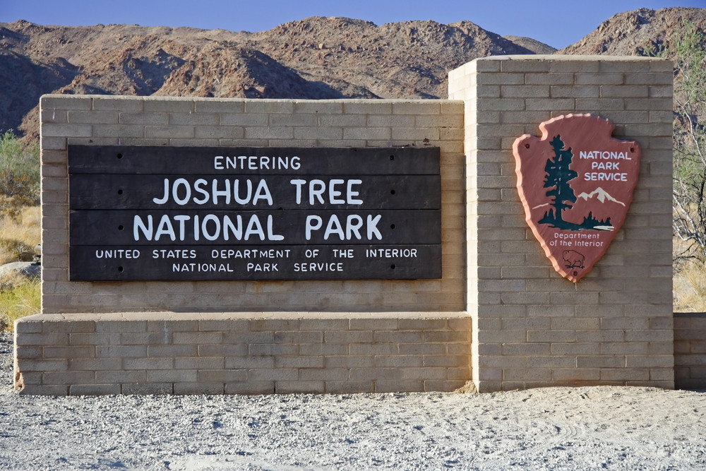 Joshua Tree National Park Is a Short Drive From Las Vegas
