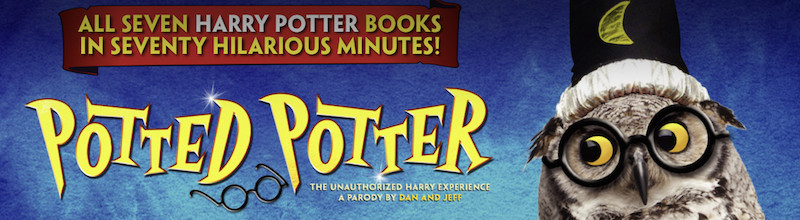 Harry Potter Fans NEED To See This Show on the Strip