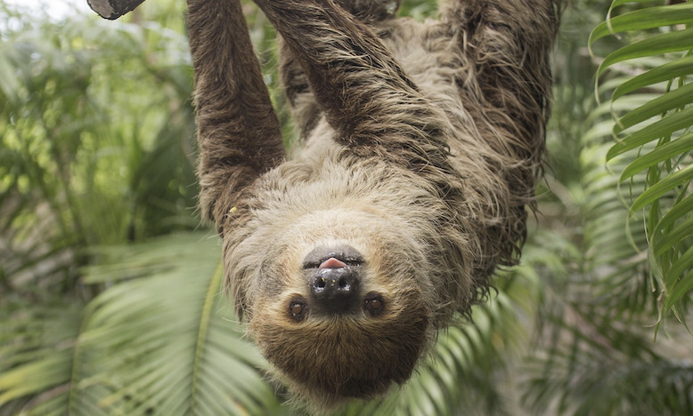 Visit This Aquarium & Zoo in the Middle of Las Vegas