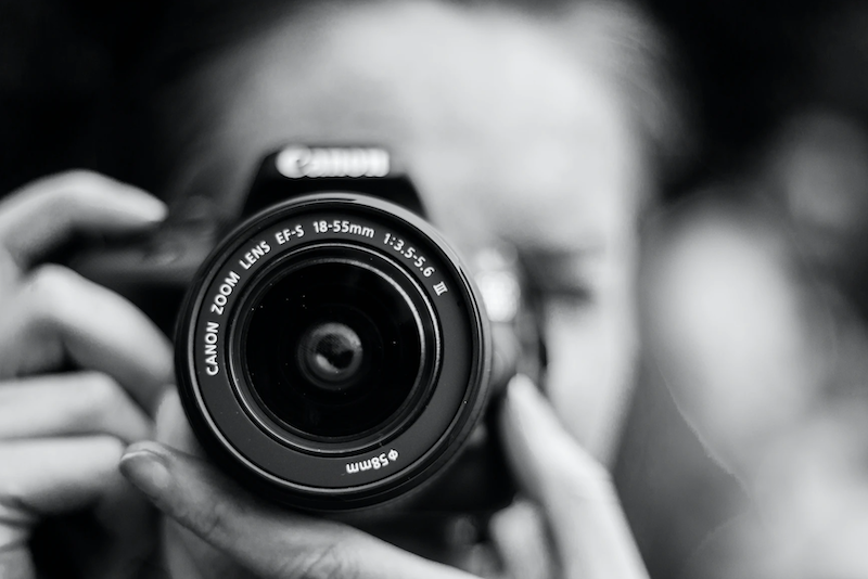 Check Out This National Geographic Exhibit on the Strip