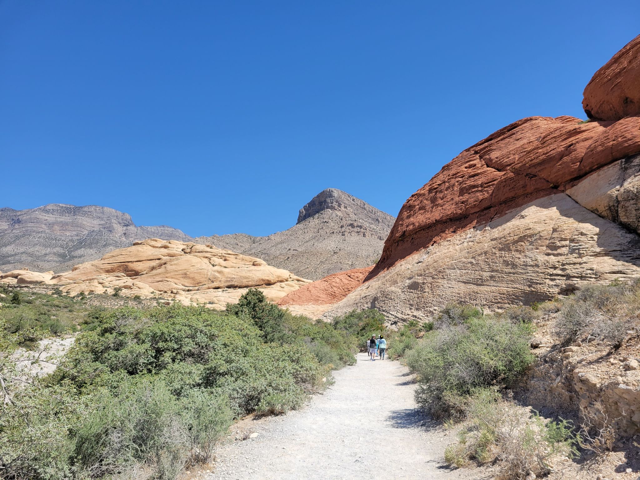 5 Las Vegas Hiking Trails for Beginners