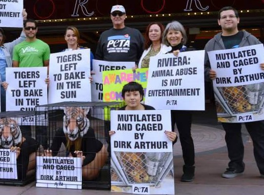 DIRK ARTHUR's Big Cats Are Back...And Some Aren't Happy