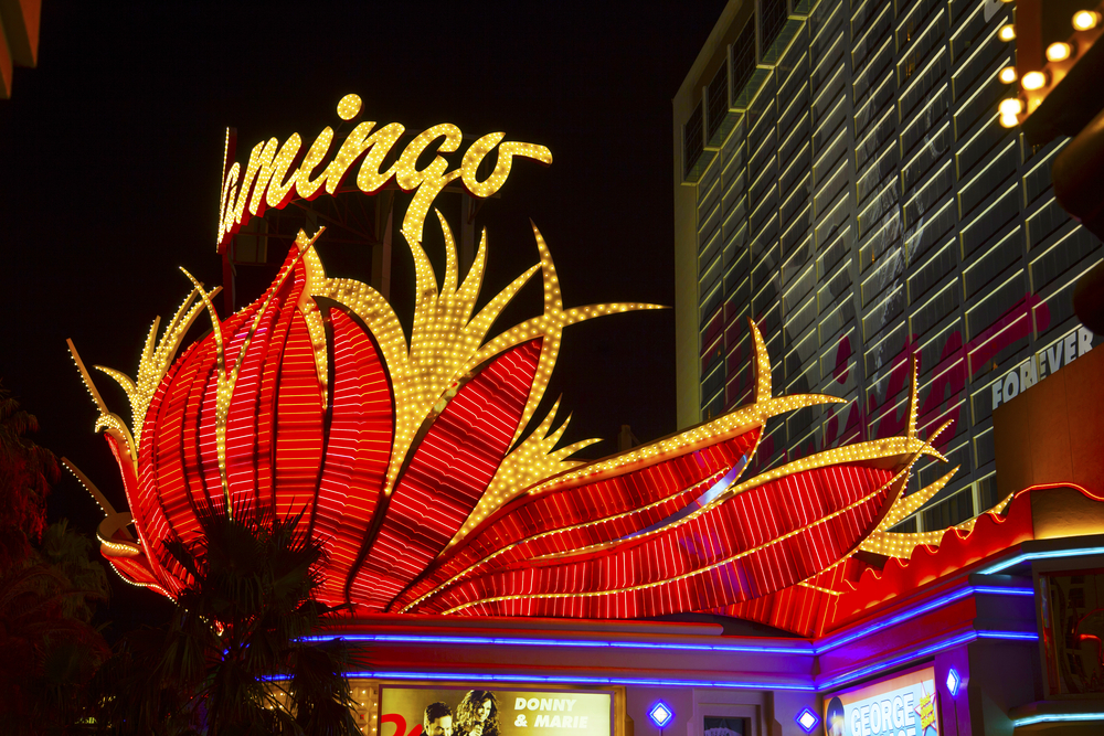 Ultimate Guide to Staying at the Flamingo