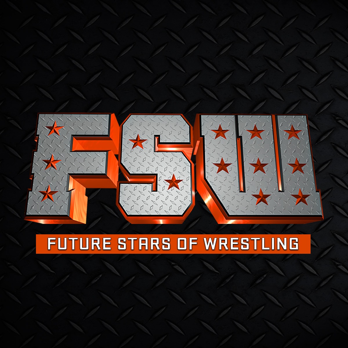 Want to be a Pro Wrestler? Check out Future Stars of Wrestling in Las Vegas now!