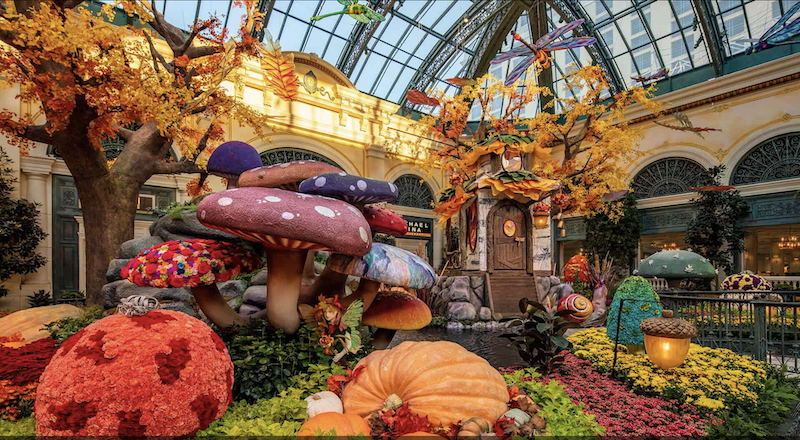 Embrace the Fall Season at Bellagio