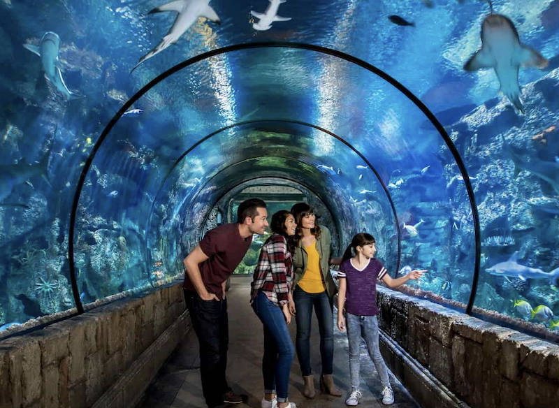 5 Things To Do With Babies & Toddlers in Las Vegas