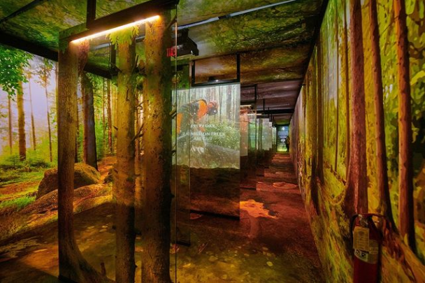 What Is Arcadia Earth Las Vegas?