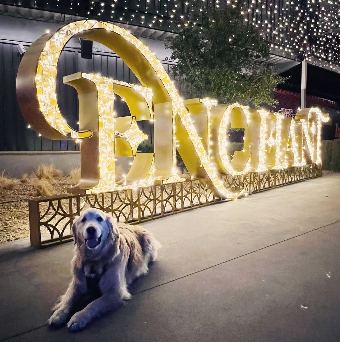 ENCHANT CHRISTMAS - A Holiday Sensory Feast Times Two