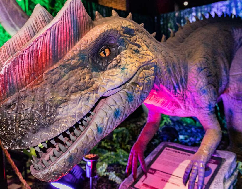 New Things to Do in Las Vegas