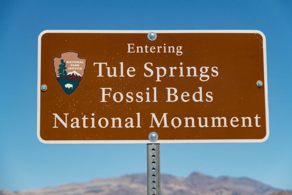 Explore Tule Springs Fossil Beds