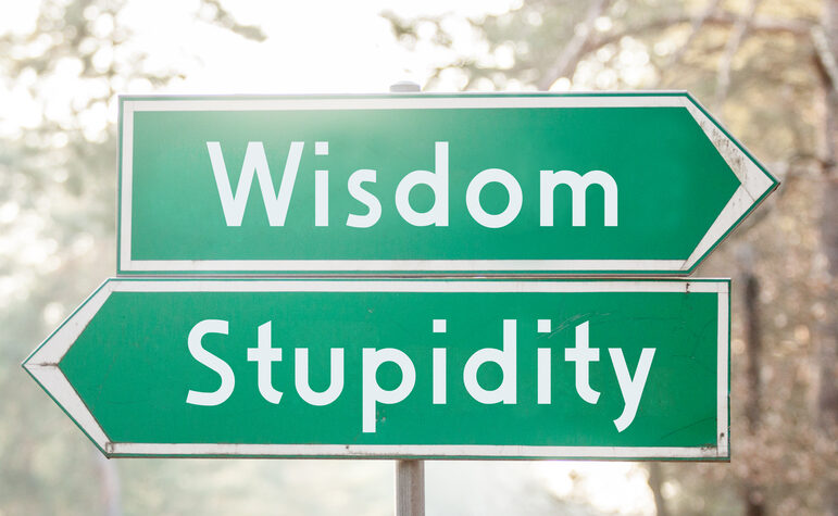 PET PEEVES 2 - Yes, There ARE Stupid Questions