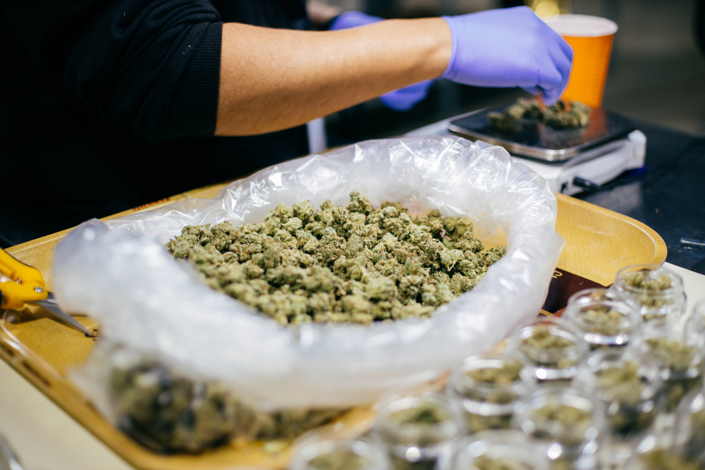 RX: Premier Medical Cannabis in Las Vegas