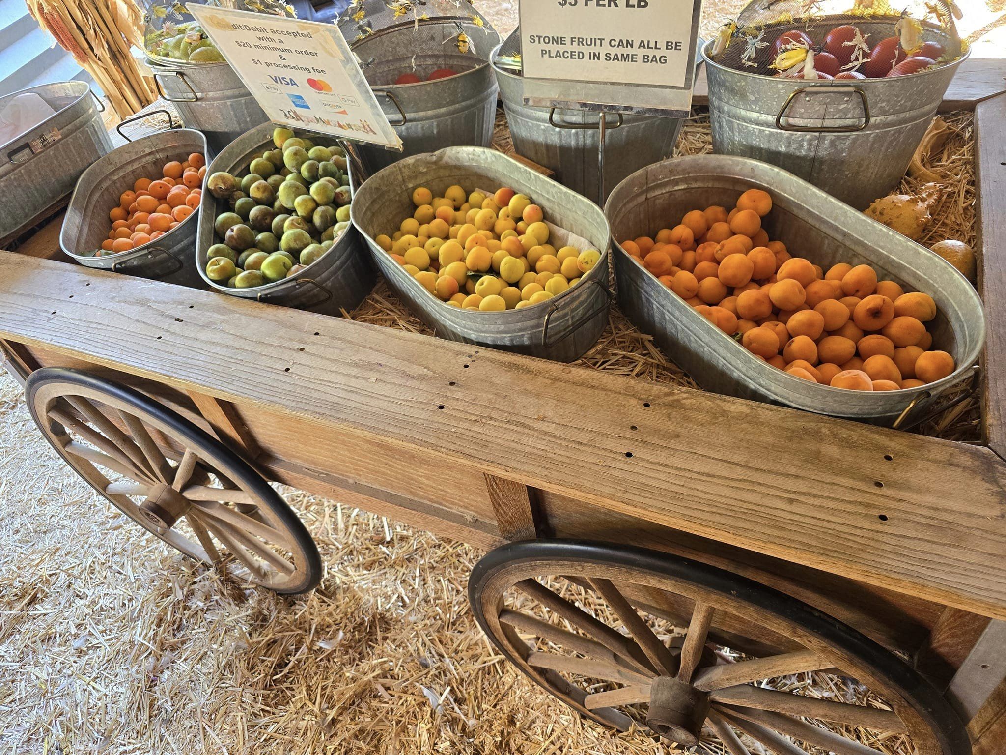 produce for sale at the Las Vega Farm 