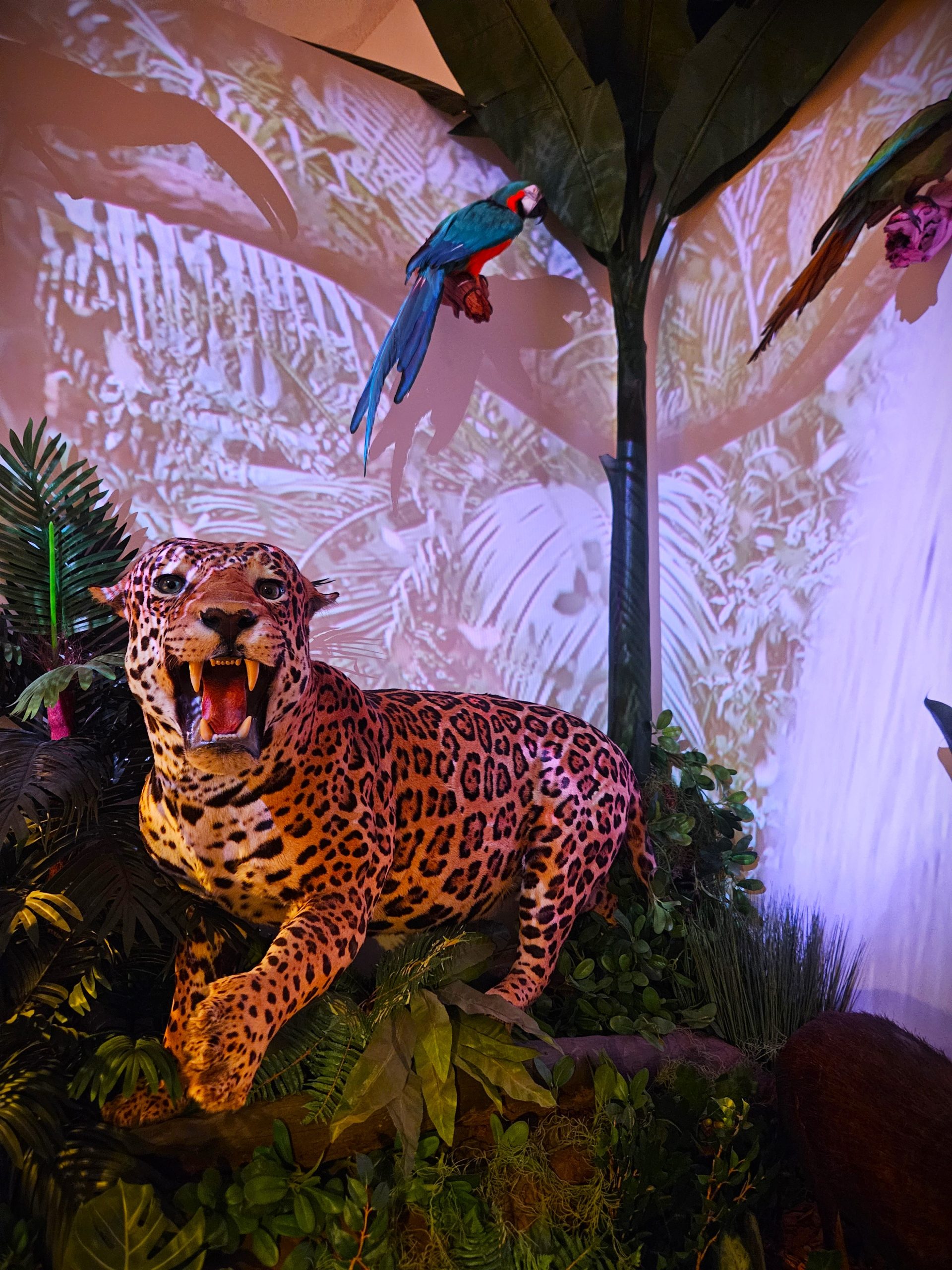 I Hung Out at One of Las Vegas’ Oldest Museums