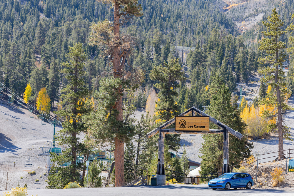 Enjoy a Free Festival at Lee Canyon