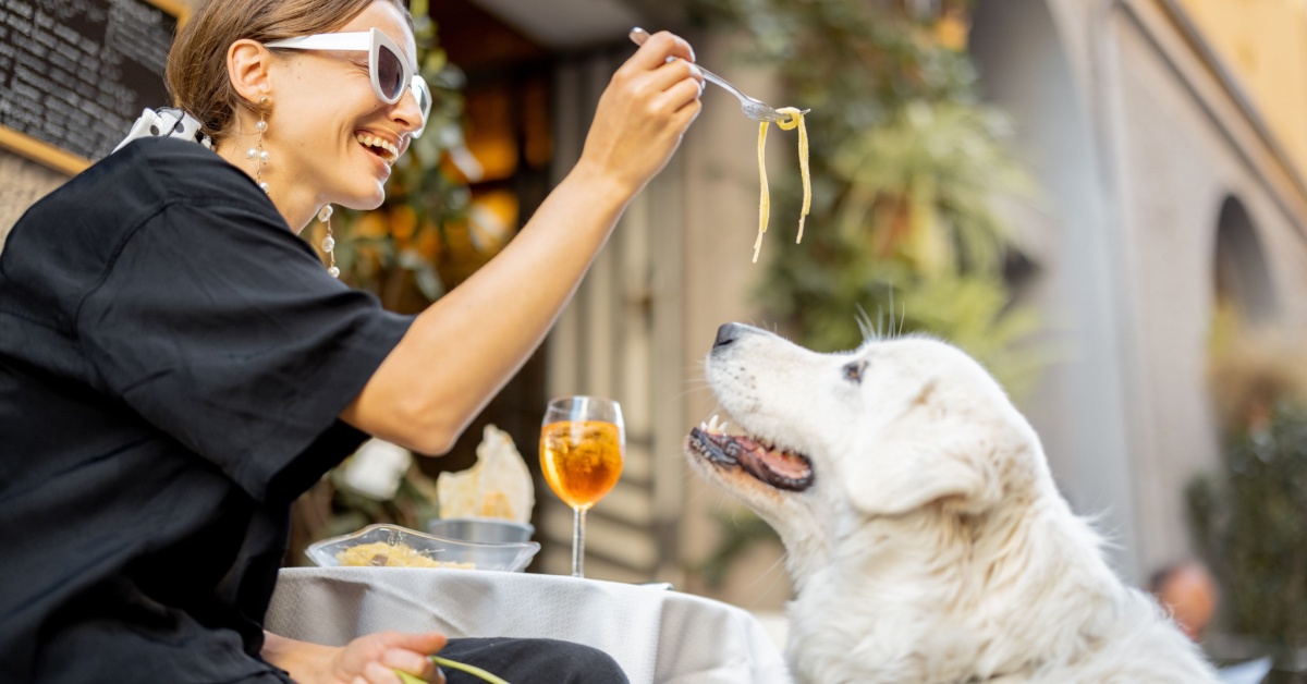 Top Dog-Friendly Restaurant Patios in Las Vegas (2025)