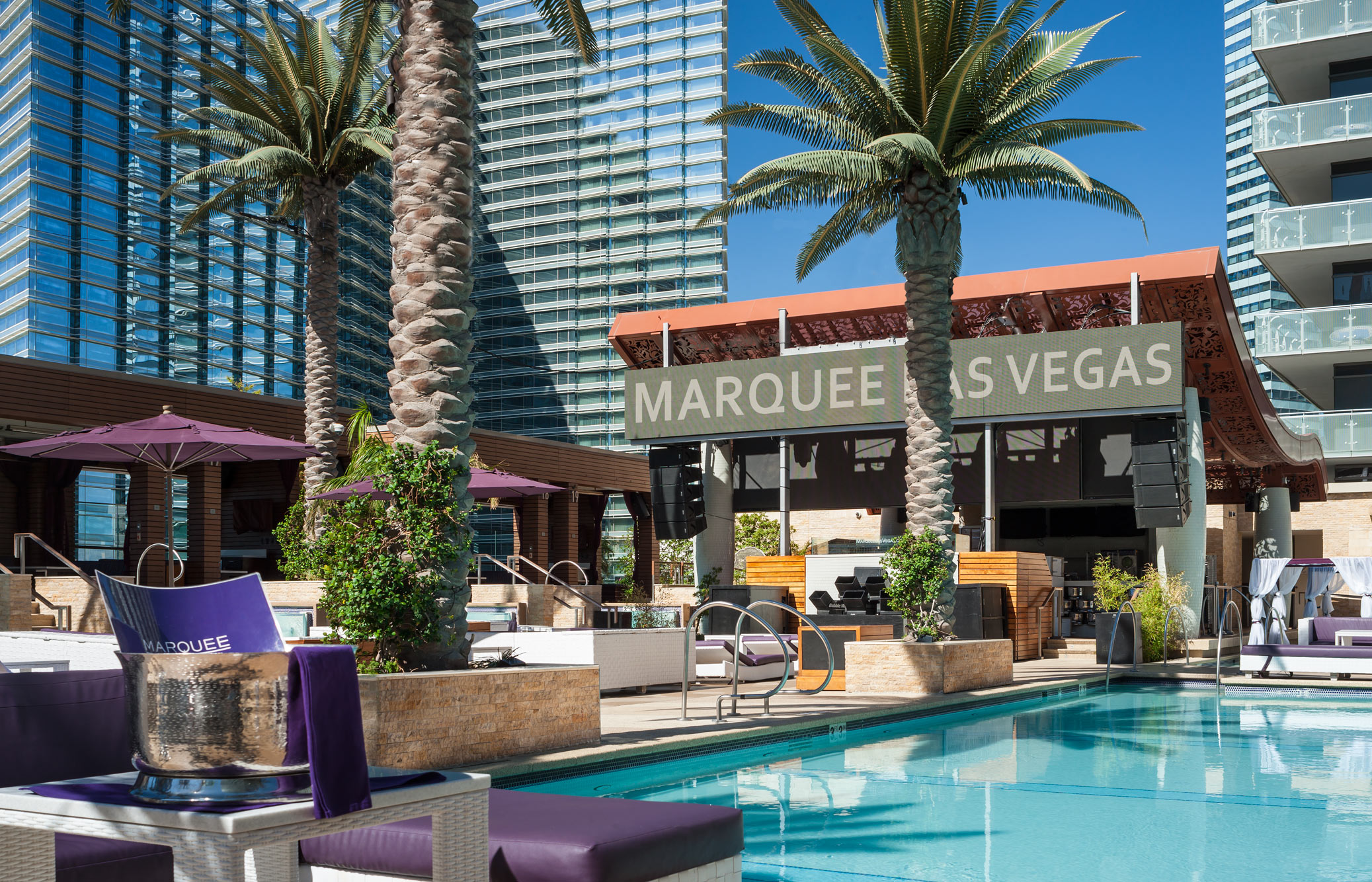 View of the Marquee Dayclub pool complex surrounded by lush trees, the main pool, and purple daybeds near the pool at The Cosmopolitan of Las Vegas